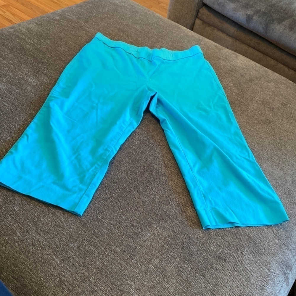 Briggs New York elastic waisted womens capris; size 14P